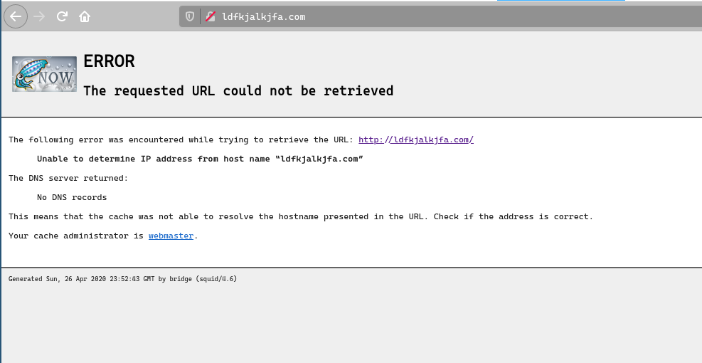 Squid Cache Error Page